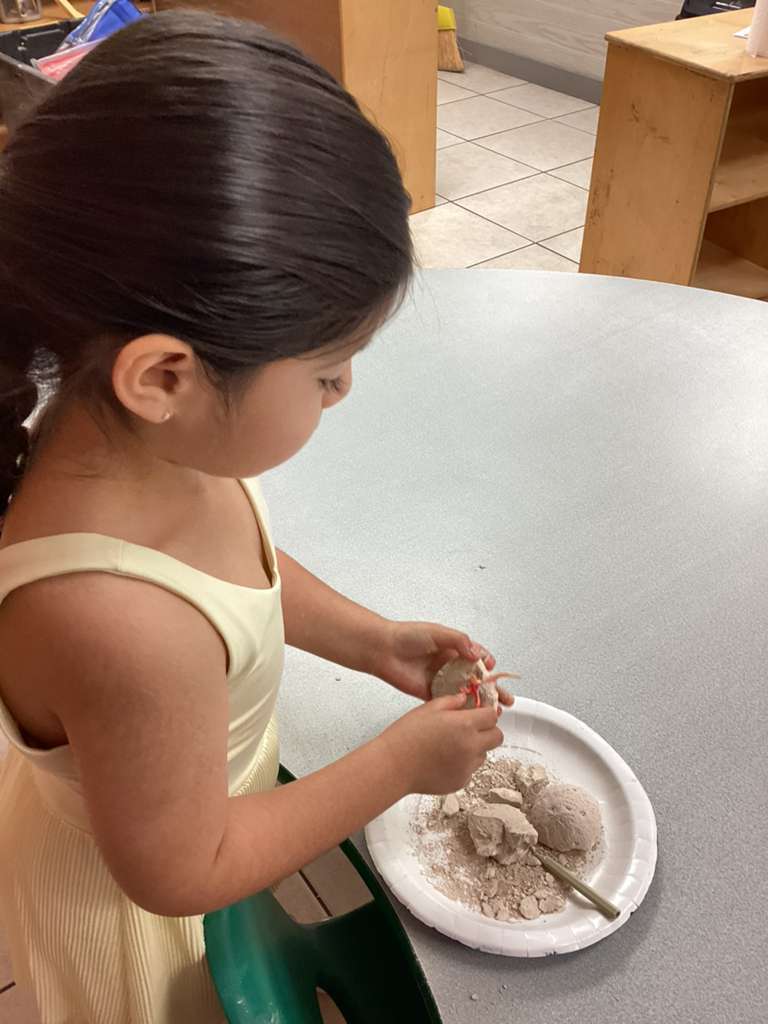 Summer camp activities